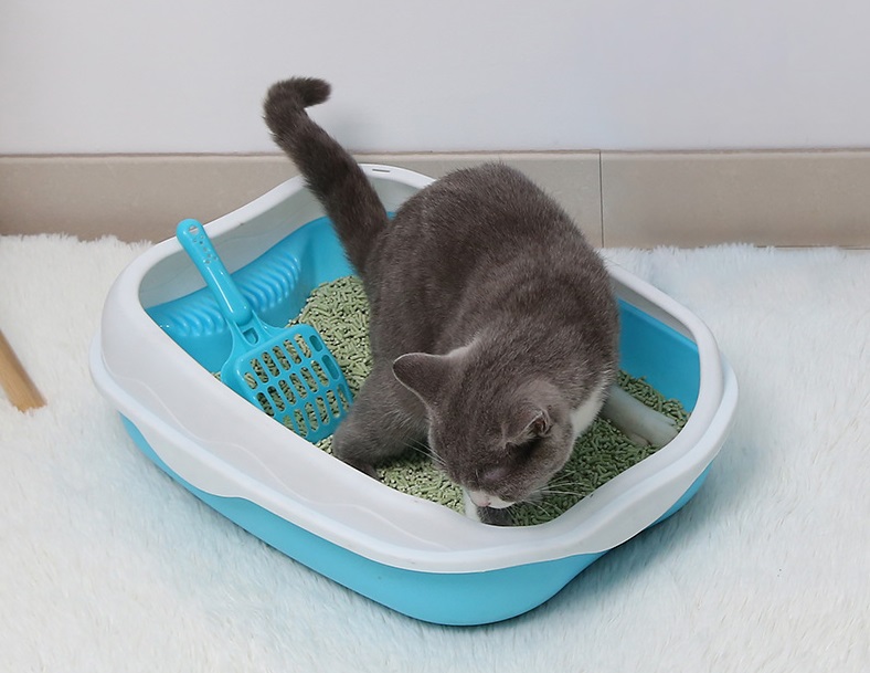 豆腐の猫のごみを掃除する非追跡フラッシュ可能なペット